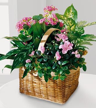 FTD Pink Assortment