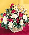 FTD� Candy Cane Lane Arrangement