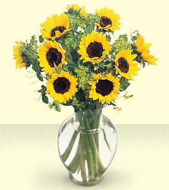 FTD  Happiness Bouquet