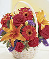 
This basket abounds with sun-drenched roses, orange mini Gerbera daisies, and orange Asiatic lilies, along with some red carnations just for good measure...
			