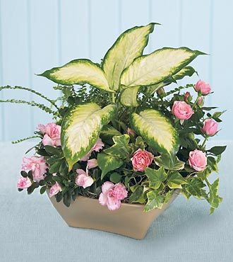 FTD Garden of Grace Planter  - PREMIUM
