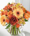 
Peach alstroemeria, golden mini Gerbera daisies, orange spray roses and beautiful Leonidas roses are gathered into a bubble bowl containing curly willow...
			