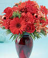 
A beautiful holiday red glass vase holds an array of crimson blossoms...
			