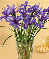 
Ten stems of stately iris are placed in a square glass vase with just a touch of lily grass...
			