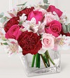 
Pale pink spray roses are gently caressed by hot pink roses, burgundy carnations and pink alstroemeria in this sweet bouquet...
			