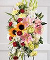 
Sunflowers and pink Oriental lilies are embraced by white chrysanthemums, yellow carnations, white gladiolus and red Matsumoto asters...
			