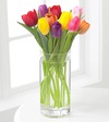 
Bright assorted tulips in vivid primary colors herald the arrival of Spring...
			