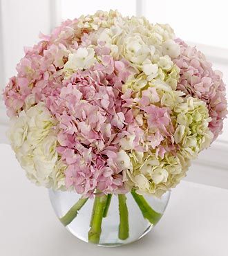 FTD Hydrangea Bouquet  - DELUXE