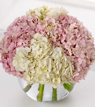 FTD Hydrangea Bouquet