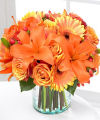 FTD Simply Bewitching Bouquet  - PREMIUM