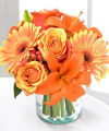 
This Bewitching bouquet features orange bi-color roses, orange Gerbera daisies, and orange Asiatic lilies with a touch of red hypericum berries...
			
