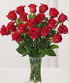 
Red roses are the perfect gift for all seasons...
			
