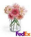 Gerbera Daisy Bouquet