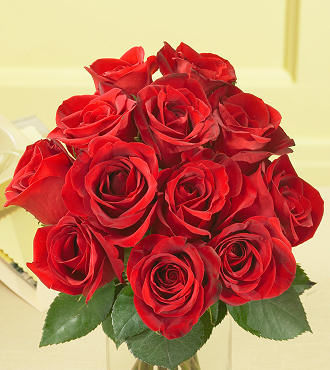 Dozen Red Roses - FedEx