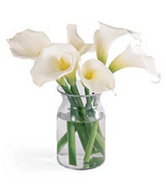 http://flowersfast.com/fd012l.jpg