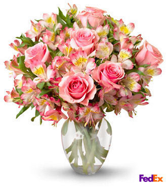 Dreamland Pink Rose Bouquet in Vase - FedEx
