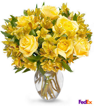 Citrus Burst Rose Bouquet in Vase - FedEx