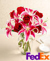Fragrant Beauty Rose and Lily in Vase - FedEx