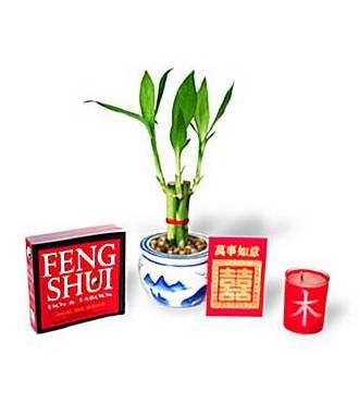 FENG SHUI KIT - FedEx