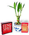 Order FENG SHUI KIT - FedEx