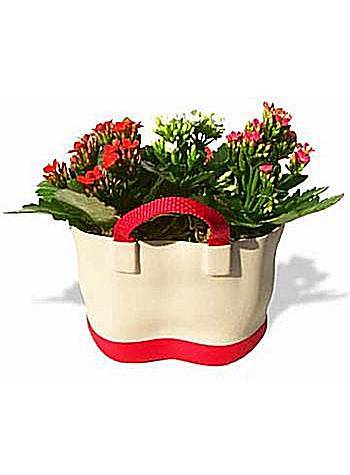 Order FLOWER TOTE - FedEx