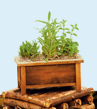 REDWOOD HERB PLANTER