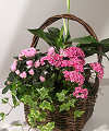 Blooming Gift Basket