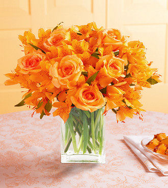 Orange Burst - FedEx