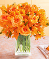 Go to Orange Burst - FedEx information page