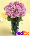 Order Dozen Medium Lavender Roses - FedEx