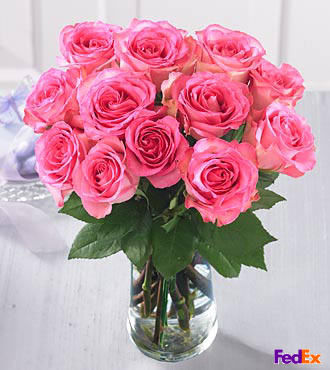 Dozen Medium Pink Roses - FedEx