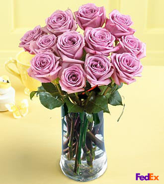 Dozen Medium Lavender Roses in Vase - FedEx