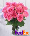 Order Dozen Medium Pink Roses in Vase - FedEx
