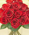 Dozen Medium Red Roses in Vase - FedEx