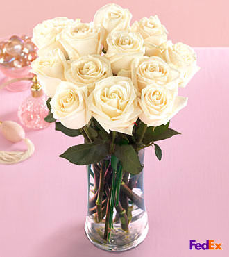 Dozen Medium White Roses in Vase - FedEx