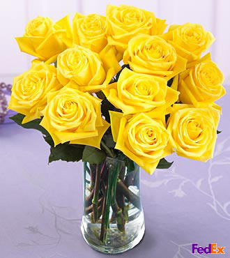 Dozen Medium Yellow Roses in Vase - FedEx
