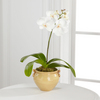 
Bringing a calm beauty to any environment, the sweet purple painted petals of this orchid plant make this a gift that will be both memorable and lasting...
			