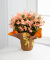 
A beautiful blooming gift, featuring star-shaped peach blossoms bursting from this unique cactus plant...
			