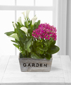 
Send your special recipient the sunlit colors of the warm months ahead! A beautiful white mini calla lily plant sits side by side with a pink kalanchoe in a rectangular wooden container with the word,...
			