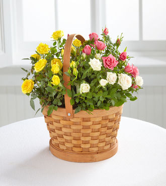 Better Homes and Gardens Rose Garden Basket - FedEx