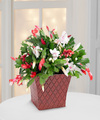 
Brighten up their holidays with a gift that blooms with seasonal color and cheer! A popular holiday gift, this Christmas cactus is a rare treat, blossoming with both red and white flowers...
			