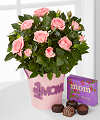 
A gorgeous pink mini rose plant arrives in a pink metal container decorated with a  #1 Mom  magnet...
			