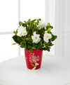 
Add to the joy and bright beauty of this snow covered season...
			