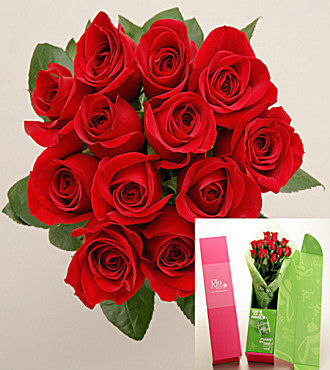 Dozen Red Rio Roses - FedEx