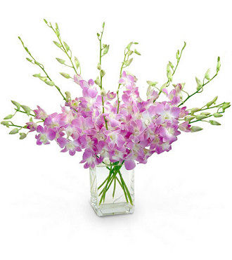 Hawaiian Sunset Orchids - FedEx