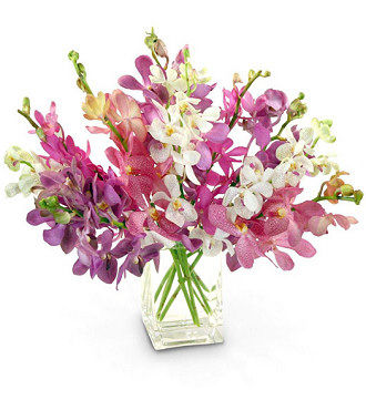 Mokara Garden Orchids - FedEx