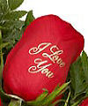 I Love You Speaking Roses - FedEx