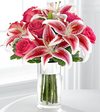 
The FTD Simple Elegance Bouquet bursts with bold blooms in vibrant shades of red and pink, exuding their soft and lovely fragrances...
			