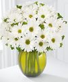 Scents to Soothe and Inspire - WebGift