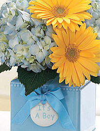Go to FTD  Sweet Dreams Boy Bouquet information page